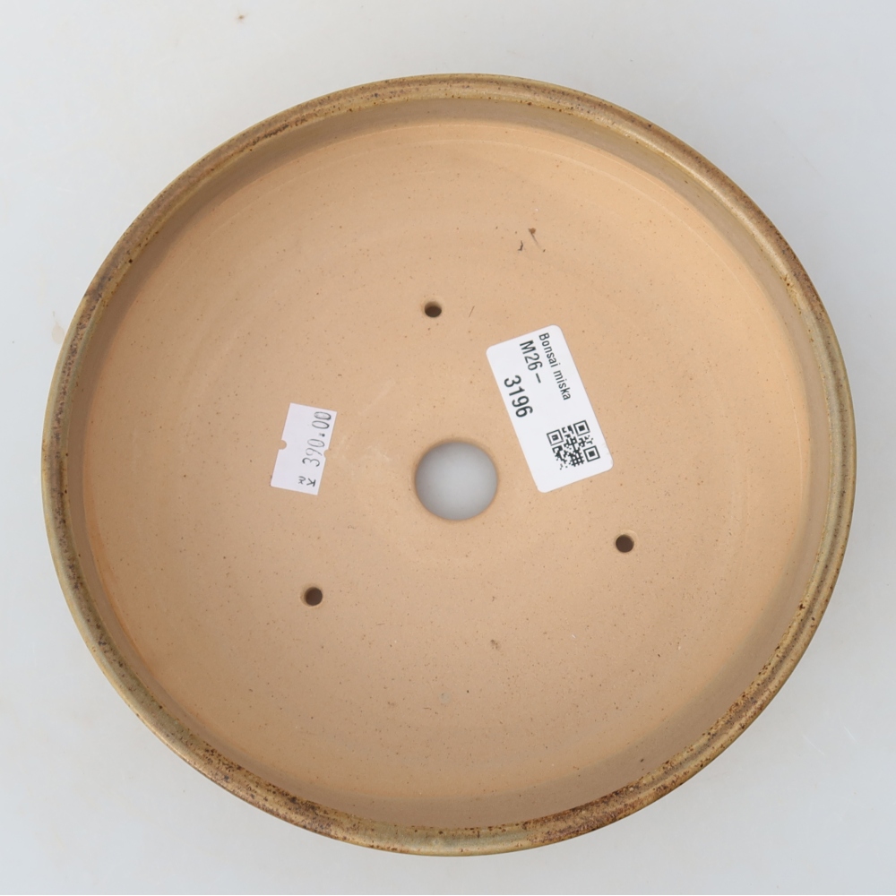 Ceramiczna miska do bonsai 17,5 x 17,5 x 5,5 cm, kolor beżowy