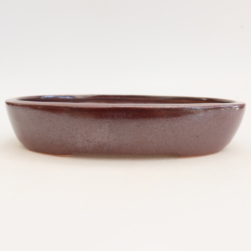 Ceramiczna miska do bonsai 22 x 17 x 4 cm, kolor bordowy