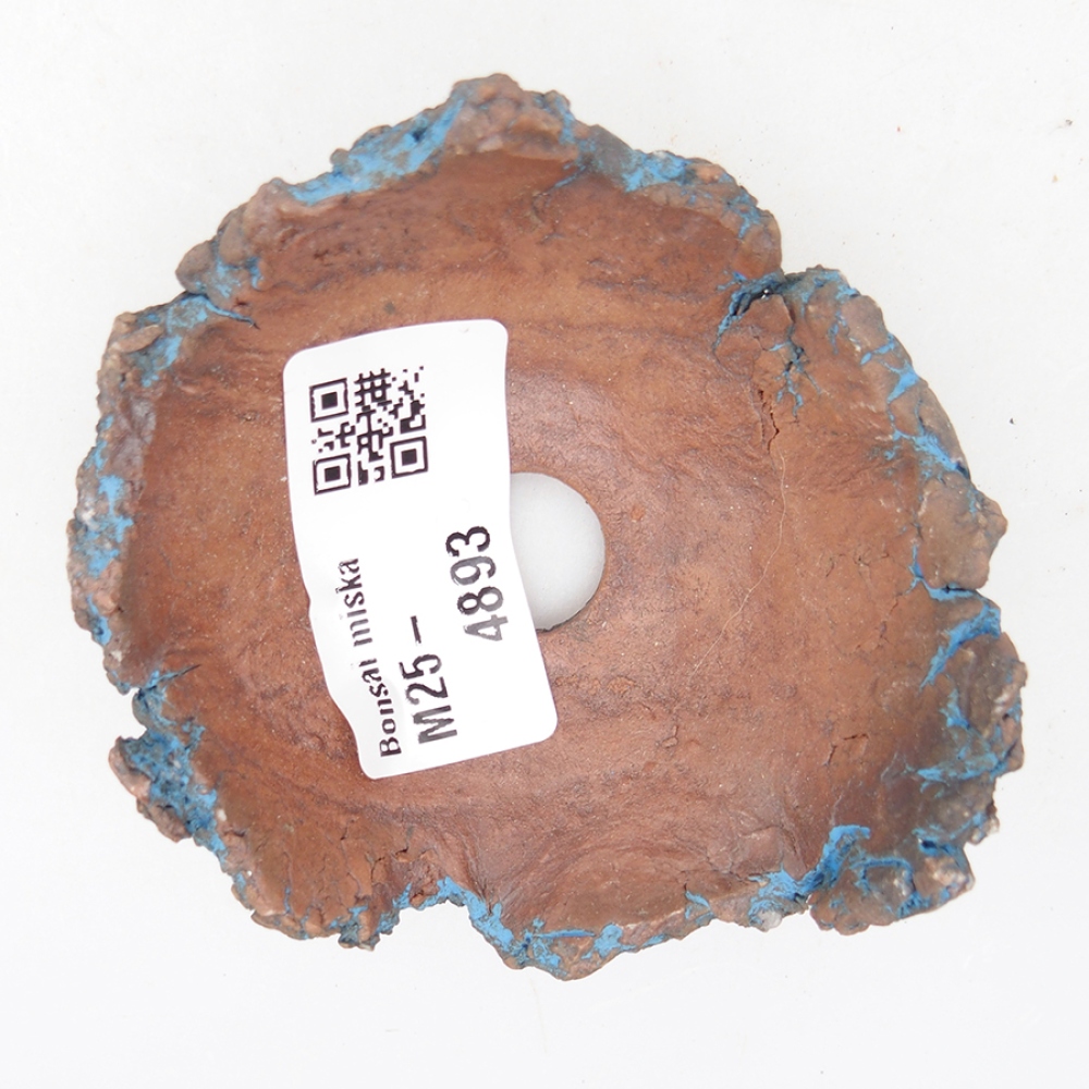 Muszla ceramiczna 7 x 7 x 3,5 cm, kolor niebieski