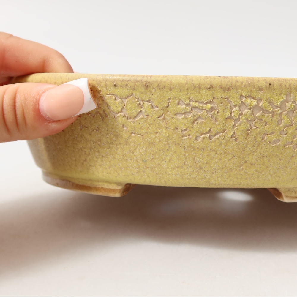 Ceramiczna miska do bonsai 18,5 x 16,5 x 4,5 cm, kolor żółty