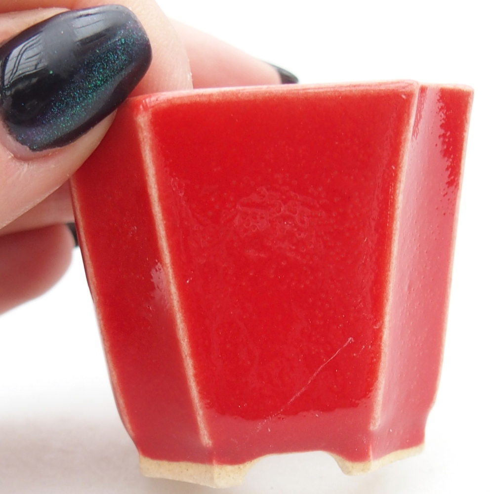 Mini miska do bonsai 4,5 x 4,5 x 4 cm, kolor czerwony