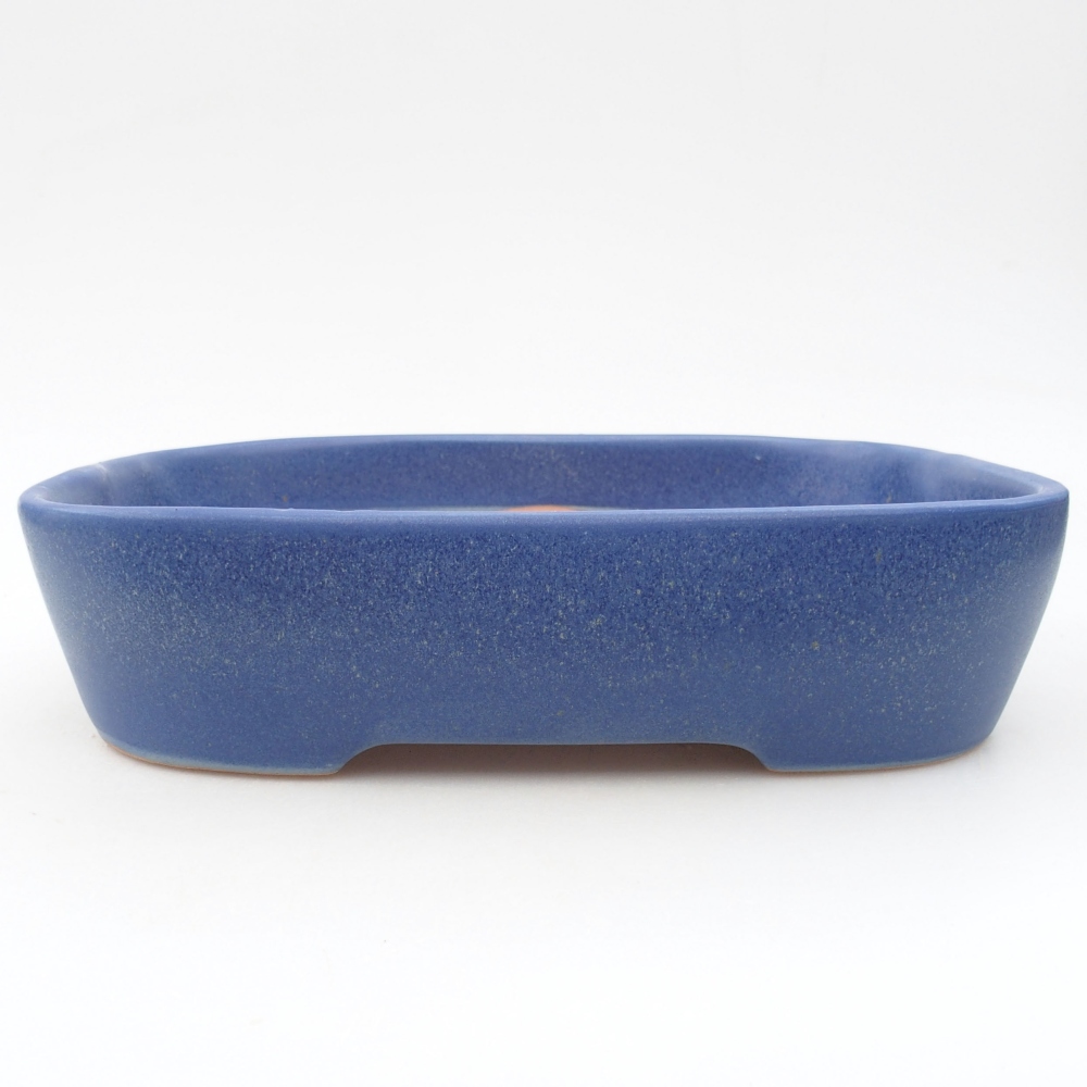 Ceramiczna miska bonsai 23 x 17,5 x 5,5 cm, kolor niebieski
