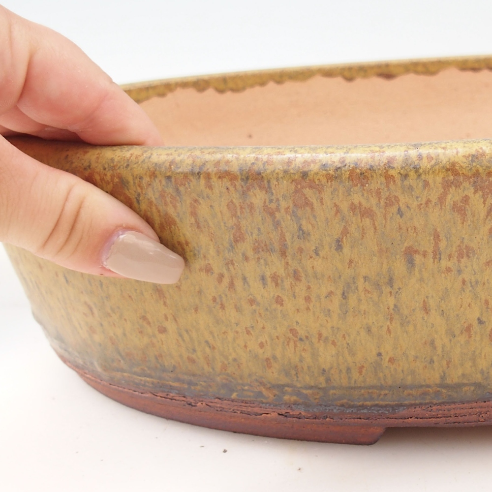 Misa do bonsai 33 x 26 x 8,5 cm, kolor żółty