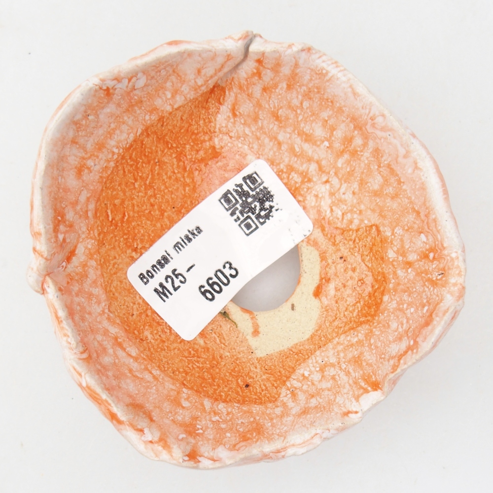 Ceramiczna skorupa 8 x 8 x 4,5 cm, kolor pomarańczowy