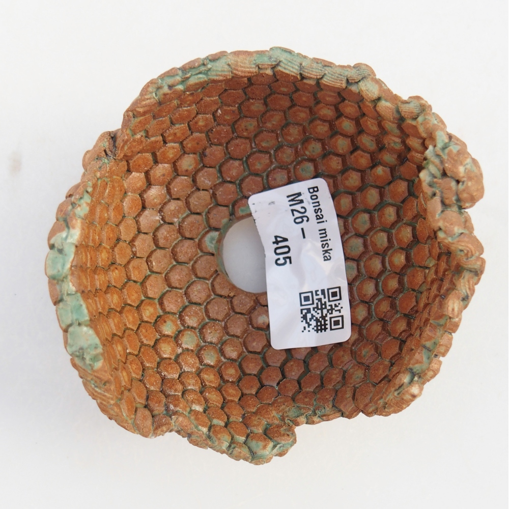 Ceramiczna muszla 8 x 8 x 6 cm, kolor brązowo-zielony