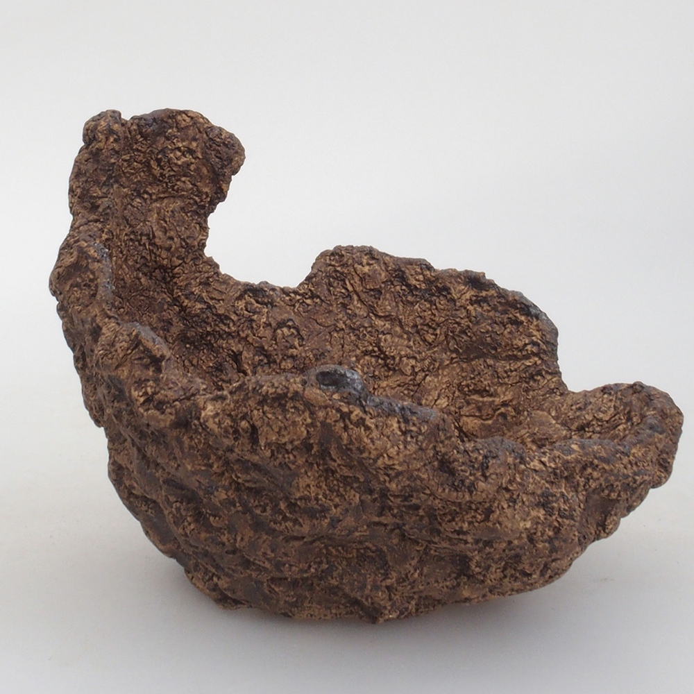 Muszla ceramiczna 13 x 12 x 12 cm, kolor brązowy