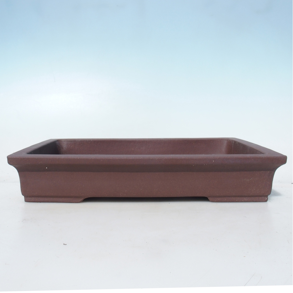 Misa do bonsai 36,5 x 24 x 6,5 cm brzoza brązowa