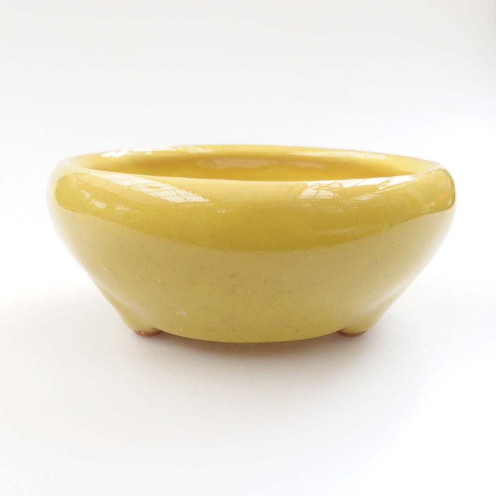 Ceramiczna miska bonsai 11 x 11 x 5 cm, kolor Żółty
