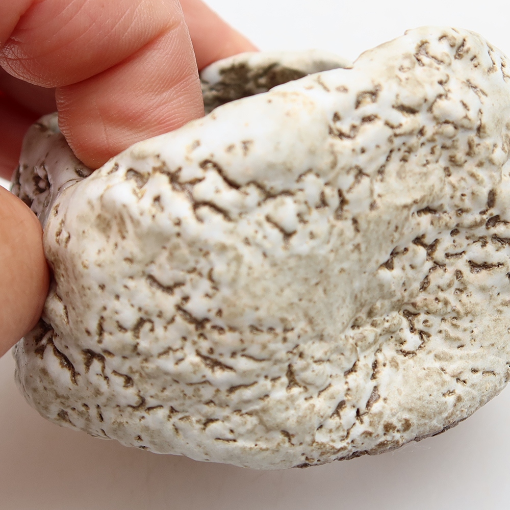 Ceramiczna skorupa  6 x 6 x 5 cm, kolor brązowo-biały