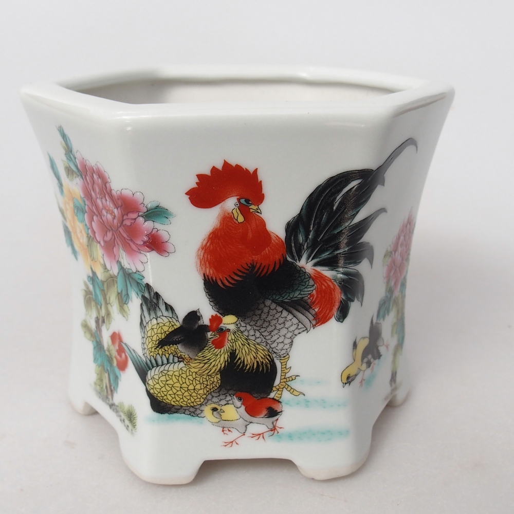Ceramiczna miska do bonsai 10,5 x 9,5 x 9 cm, kolor biały