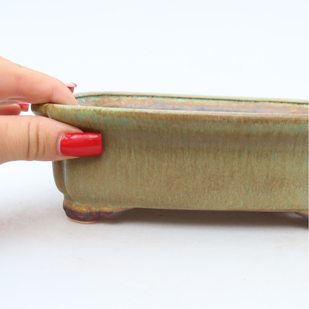 Ceramiczna miska do bonsai 20 x 17,5 x 6 cm, kolor zielony