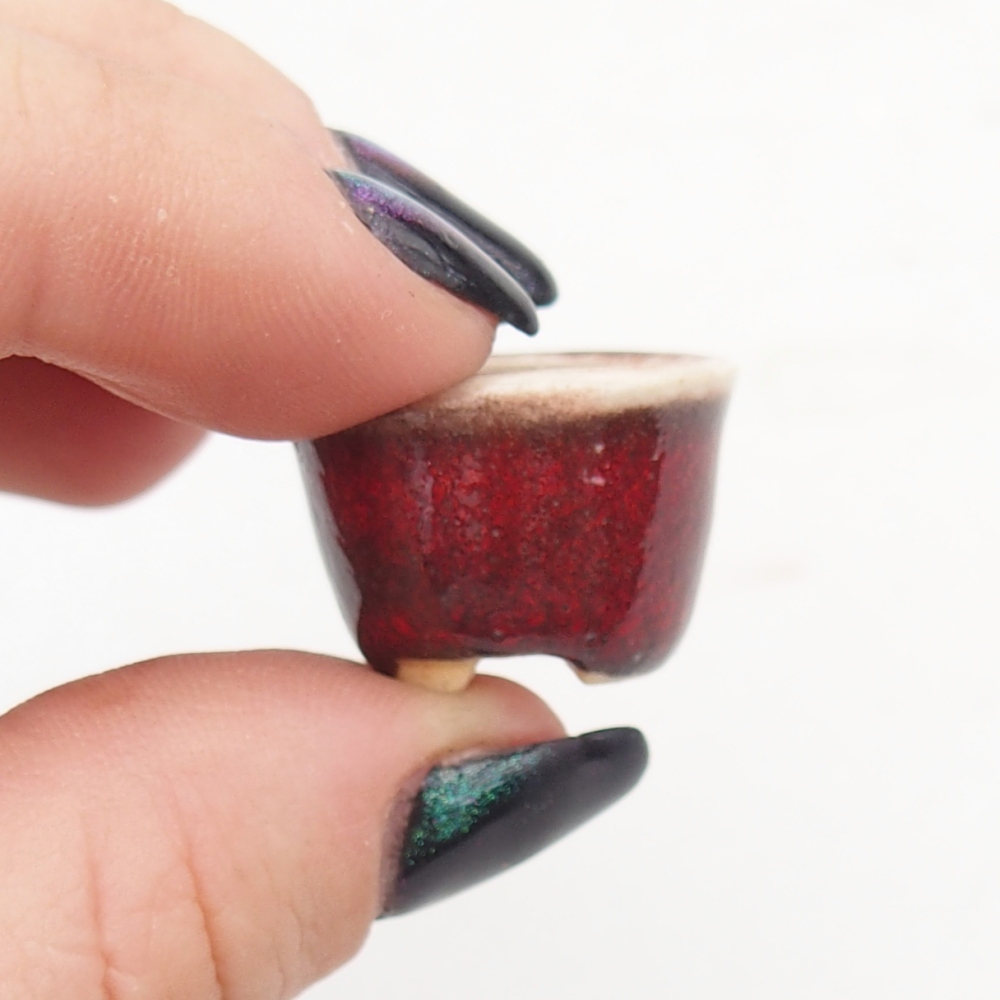 Mini miska do bonsai 2 x 2 x 1,5 cm, kolor czerwony