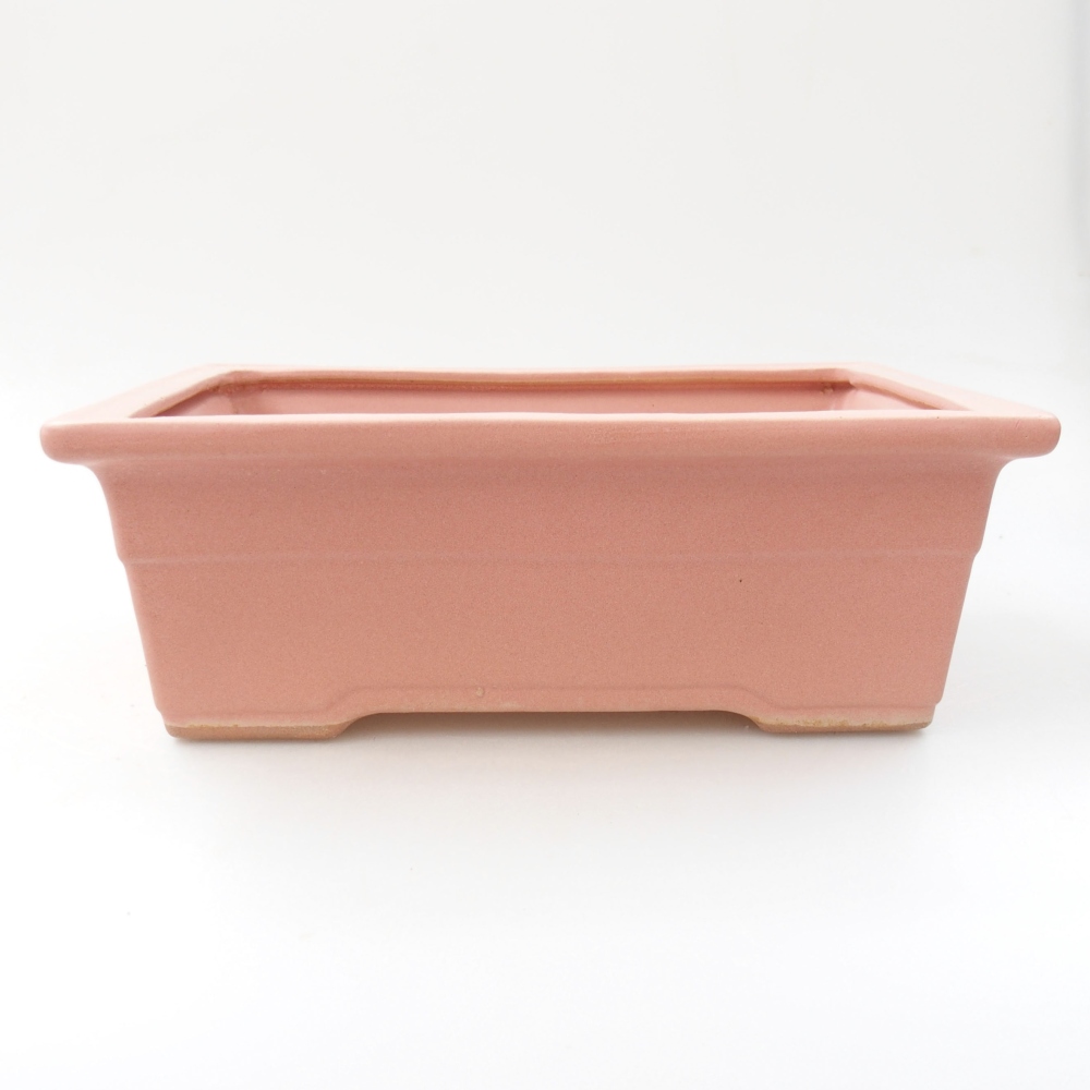 Ceramiczna miska bonsai 22 x 16 x 8 cm, kolor różowy