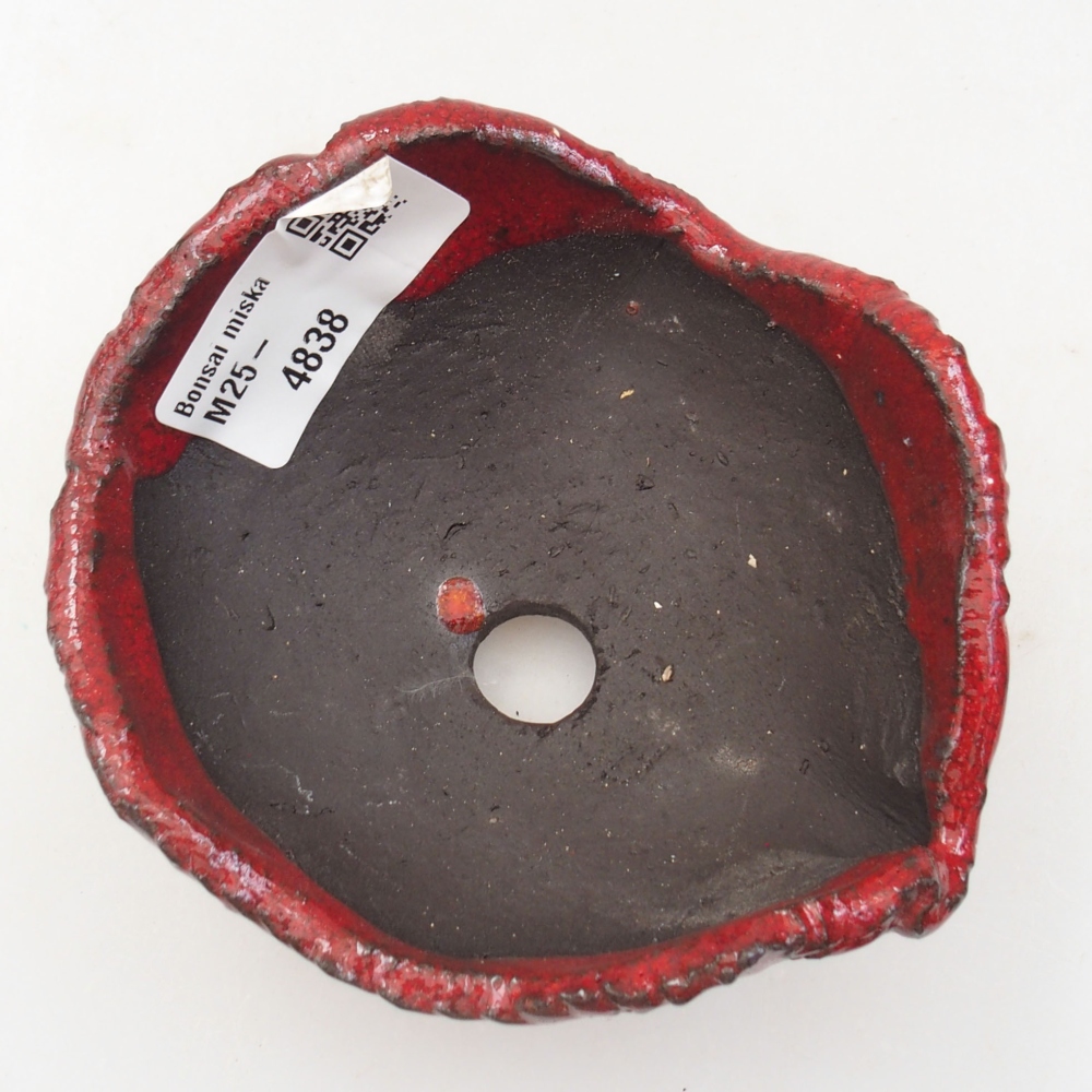 Muszla ceramiczna 9 x 8 x 5 cm, kolor czerwony