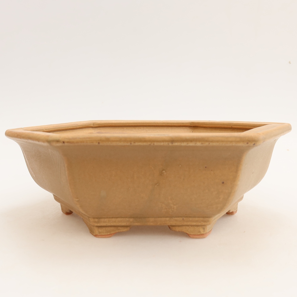 Ceramiczna miska do bonsai 24 x 21,5 x 7,5 cm, kolor beżowy