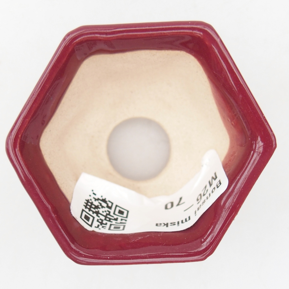 Mini miska do bonsai 5 x 4,5 x 3 cm, bordowa