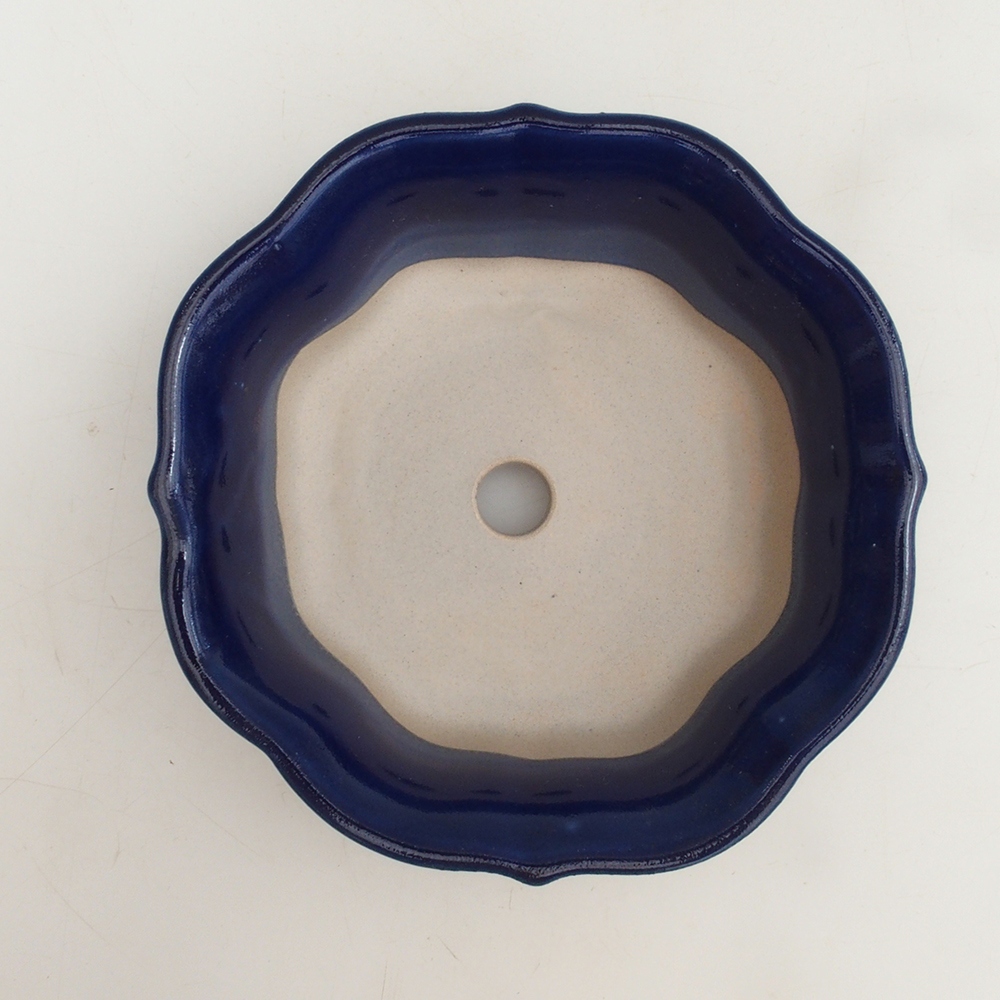 Bonsai bowl H16 - 14,5 x 14,5 x 5 cm. - niebieski