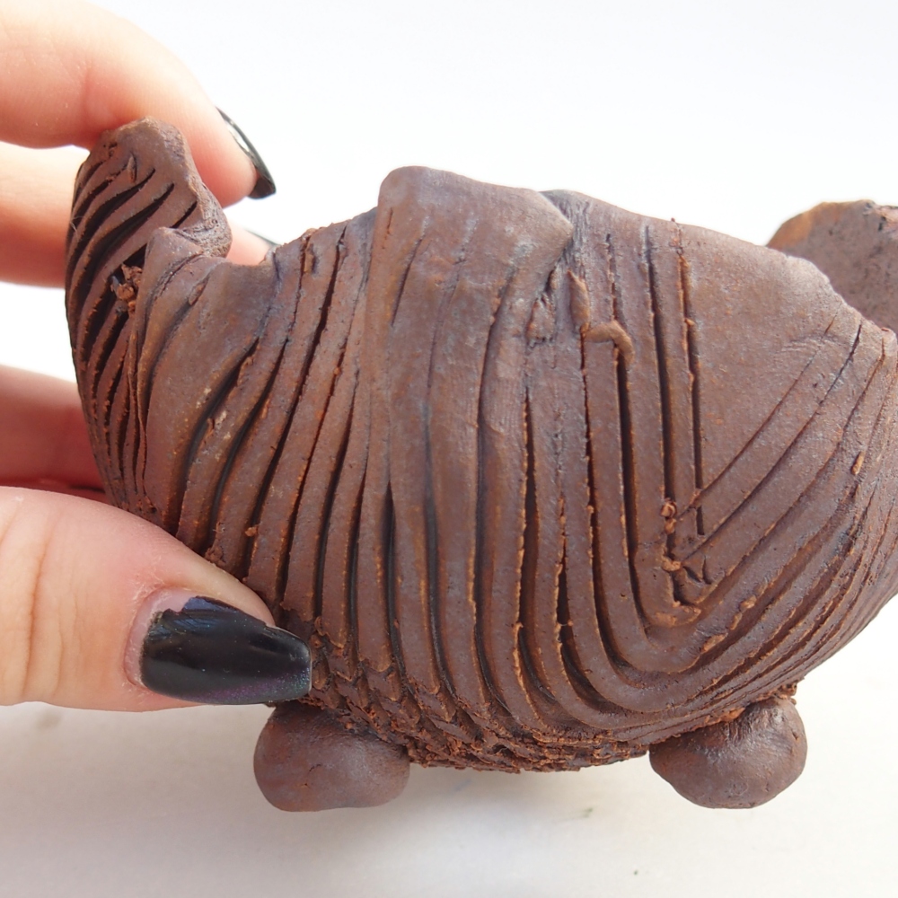 Ceramiczna muszla 10 x 9,5 x 7 cm, kolor brązowy