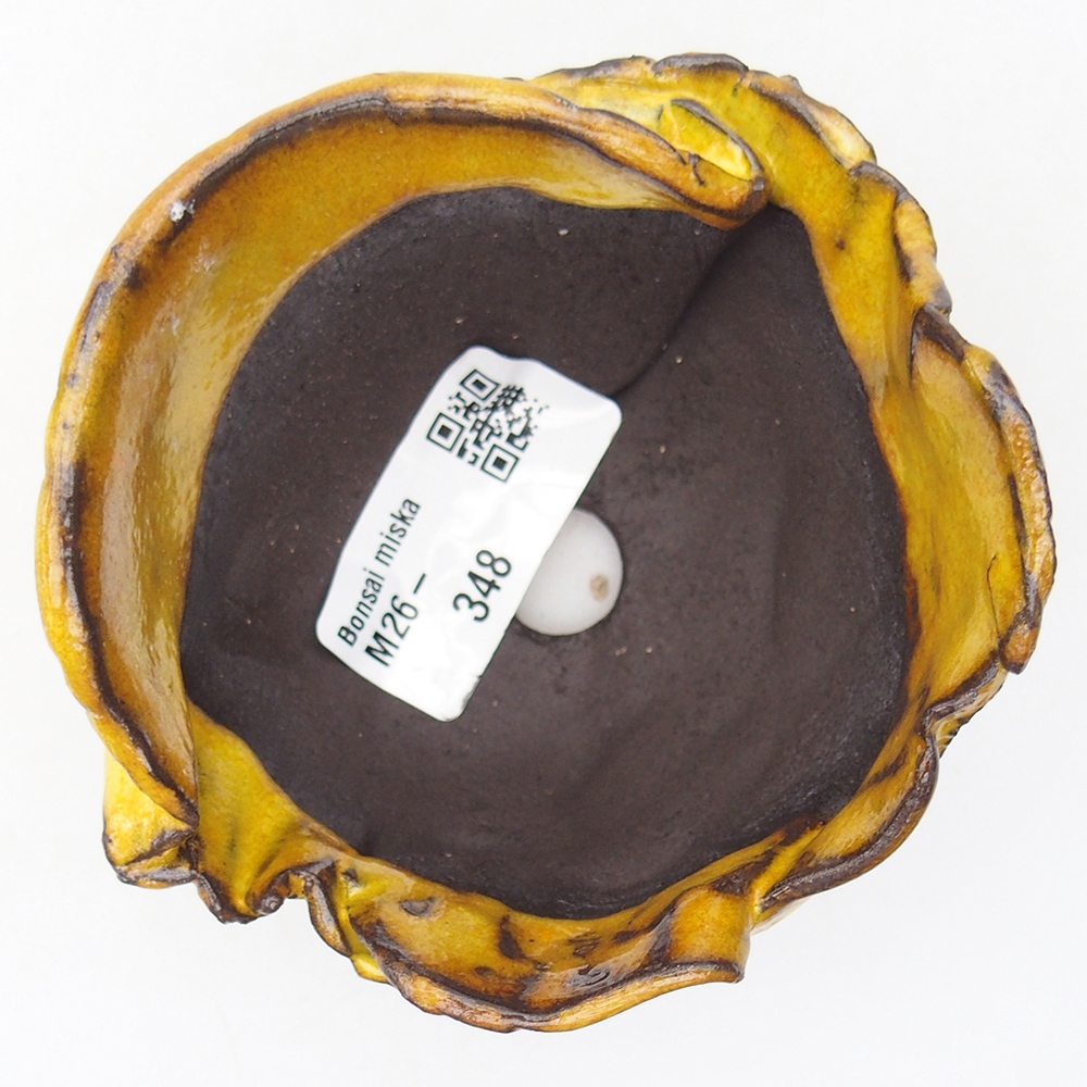 Ceramiczna skorupa 9 x 8,5 x 6,5 cm, żółta