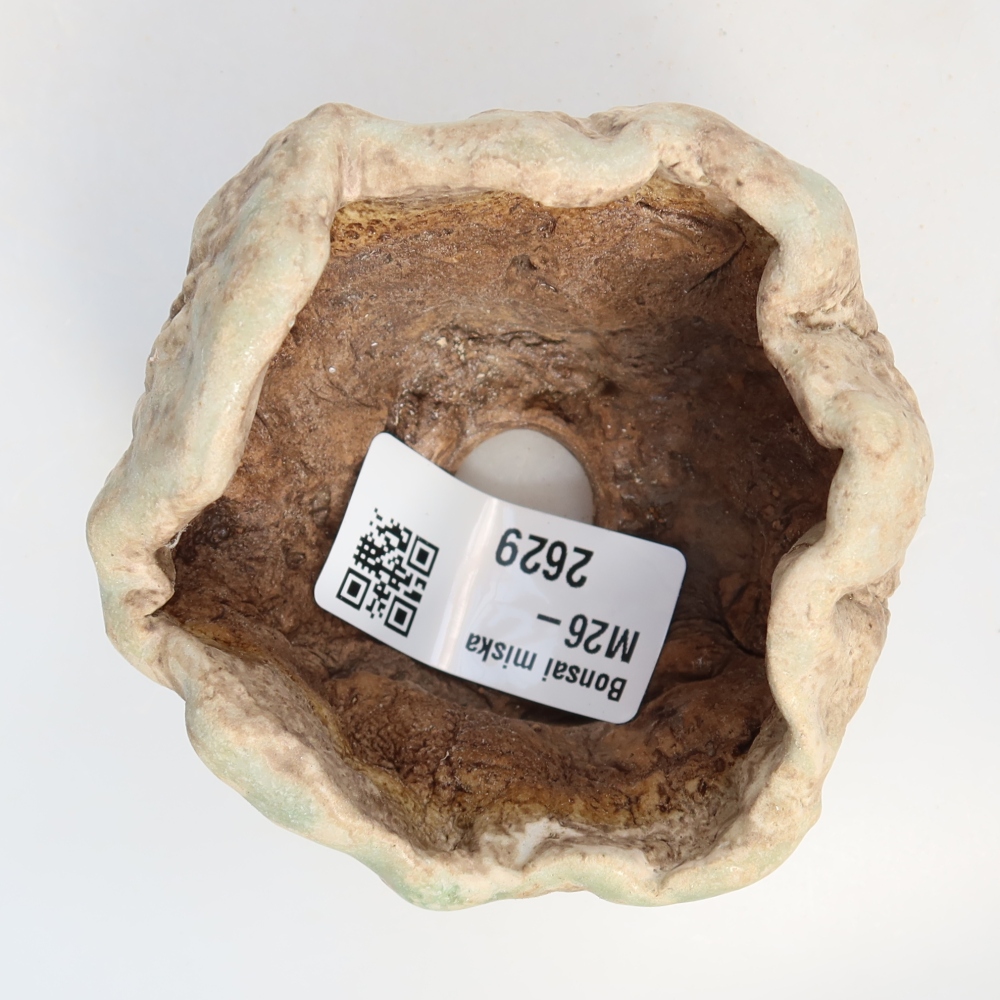 Ceramiczna skorupka  8 x 7 x 5,5 cm, kolor zielony