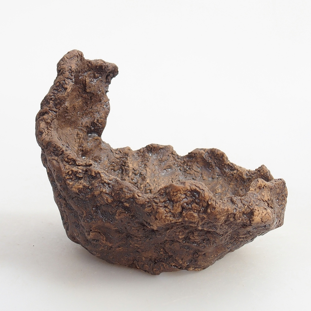 Ceramiczna muszla 10 x 9 x 9 cm, kolor brązowy