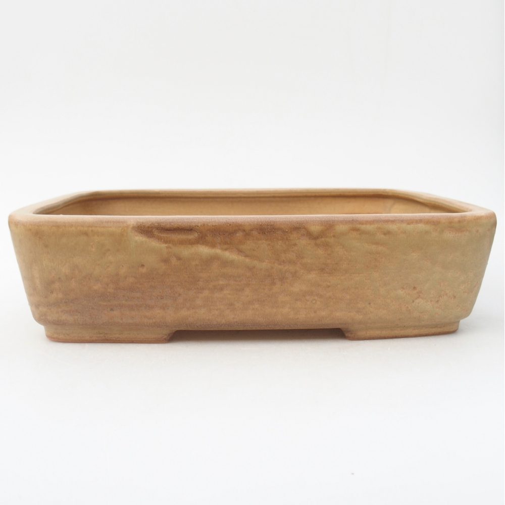 Ceramiczna miska do bonsai 26,5 x 20,5 x 6,5 cm, kolor beżowy