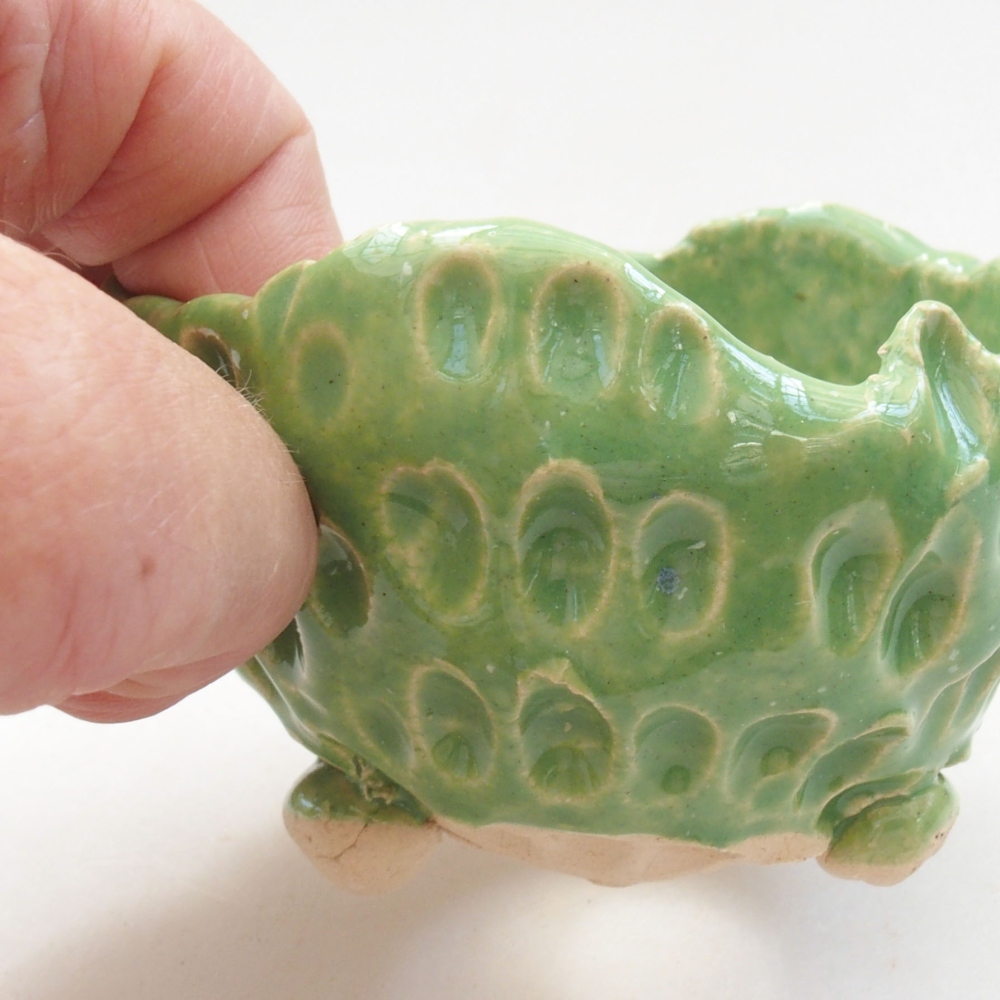 Muszla ceramiczna 7 x 7 x 5 cm, kolor zielony