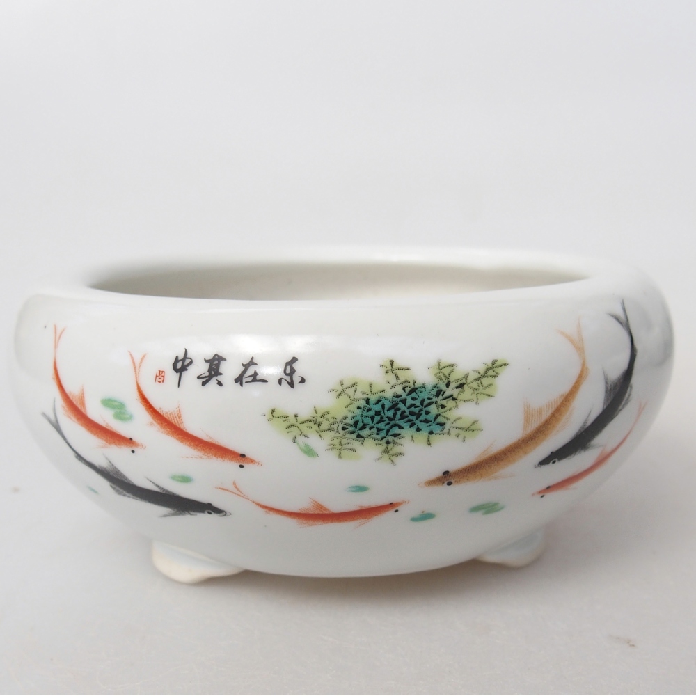 Ceramiczna miska do bonsai 10 x 10 x 5 cm, kolor biały
