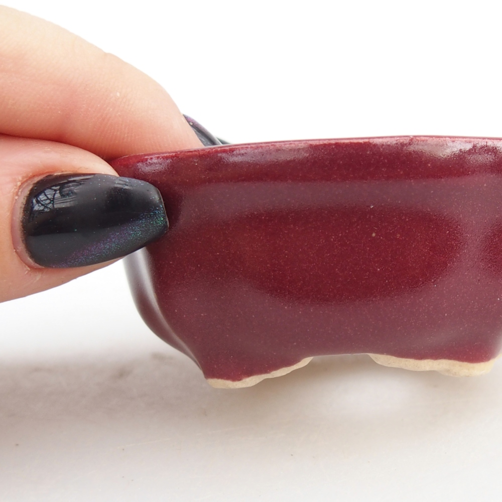 Mini miska do bonsai 6,5 x 6,5 x 3 cm, bordowa