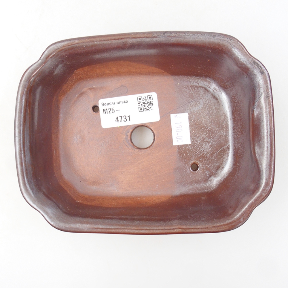 Ceramiczna miska bonsai 16 x 12 x 5 cm, kolor brązowy
