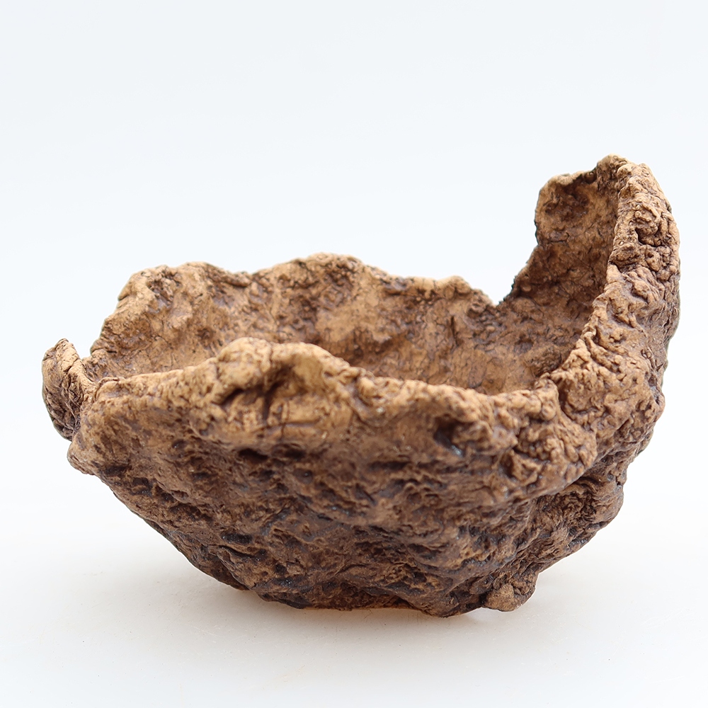 Ceramiczna muszla 10 x 9,5 x 8 cm, kolor brązowy