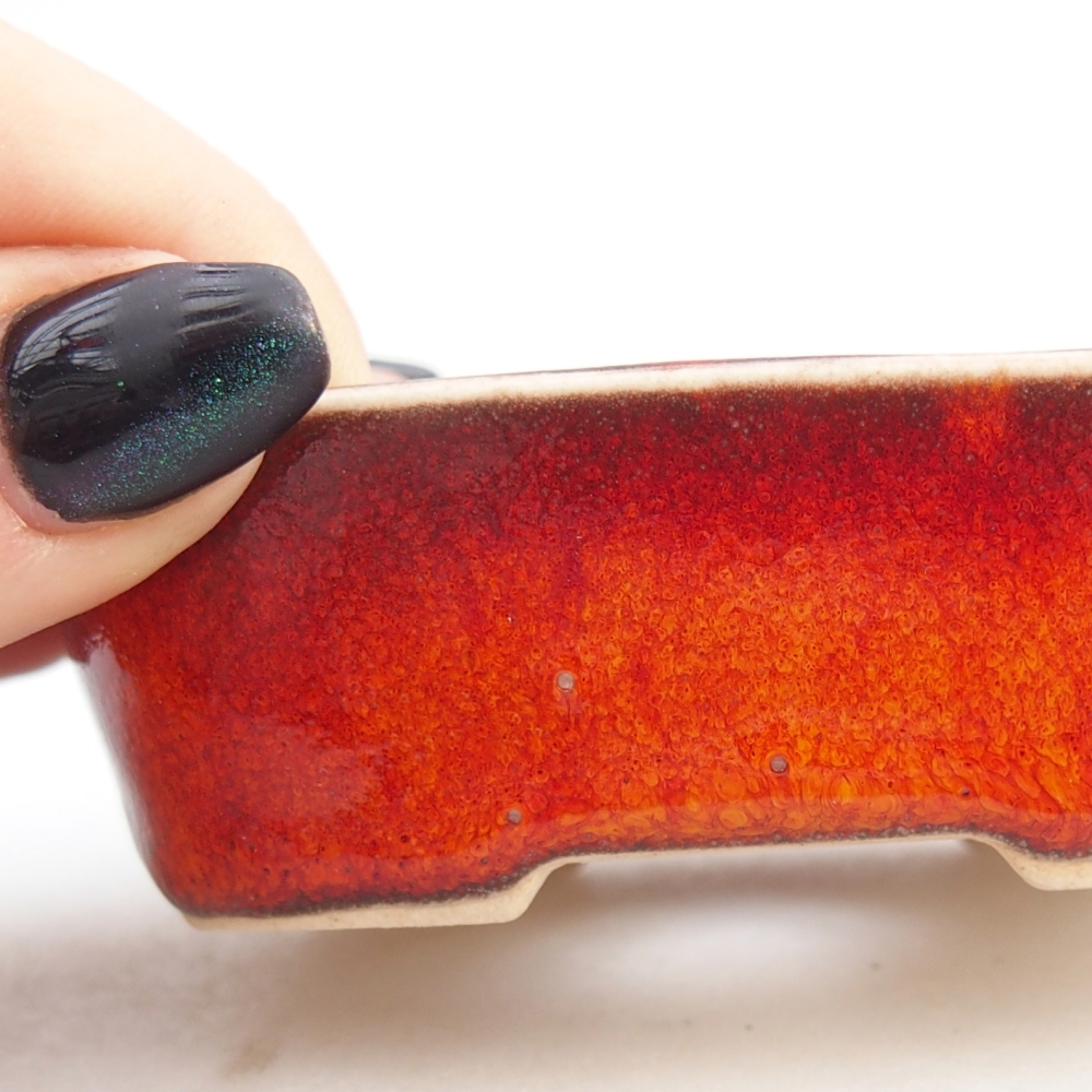 Mini miska do bonsai 6 x 6 x 2,5 cm, kolor czerwony