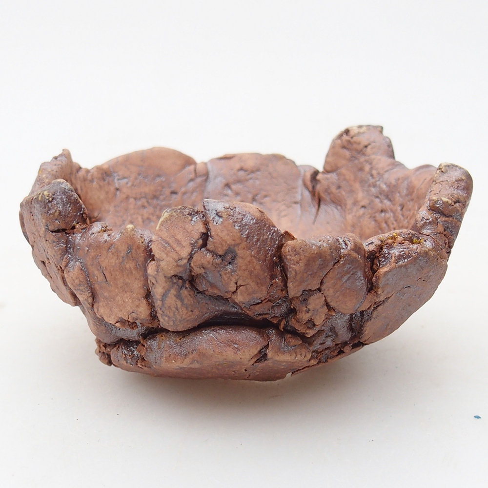 Muszla ceramiczna 9 x 9 x 4,5 cm, kolor brązowy