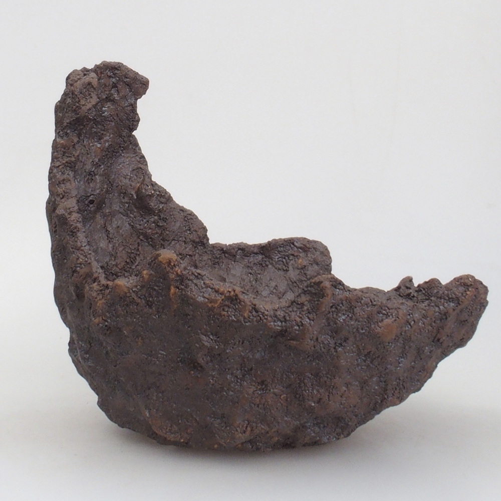 Muszla ceramiczna 23 x 19 x 22 cm, kolor brązowy