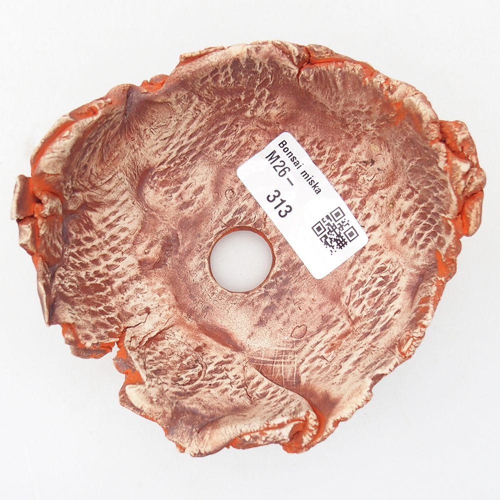 Muszla ceramiczna 11 x 11 x 6 cm, kolor pomarańczowy