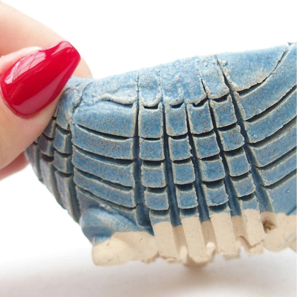 Ceramiczna muszla 9 x 9 x 5 cm, kolor niebieski