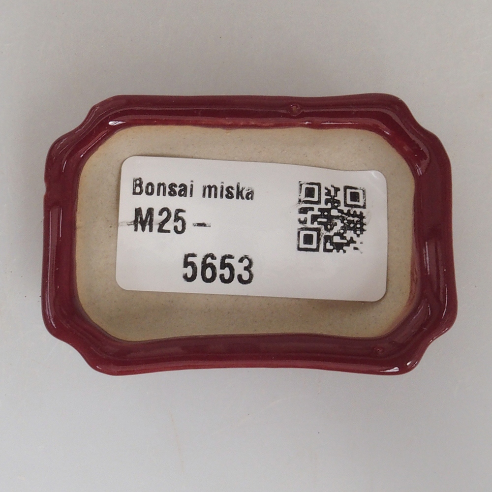 Mini miska bonsai 5,5 x 3,5 x 1,5 cm, kolor bordowy