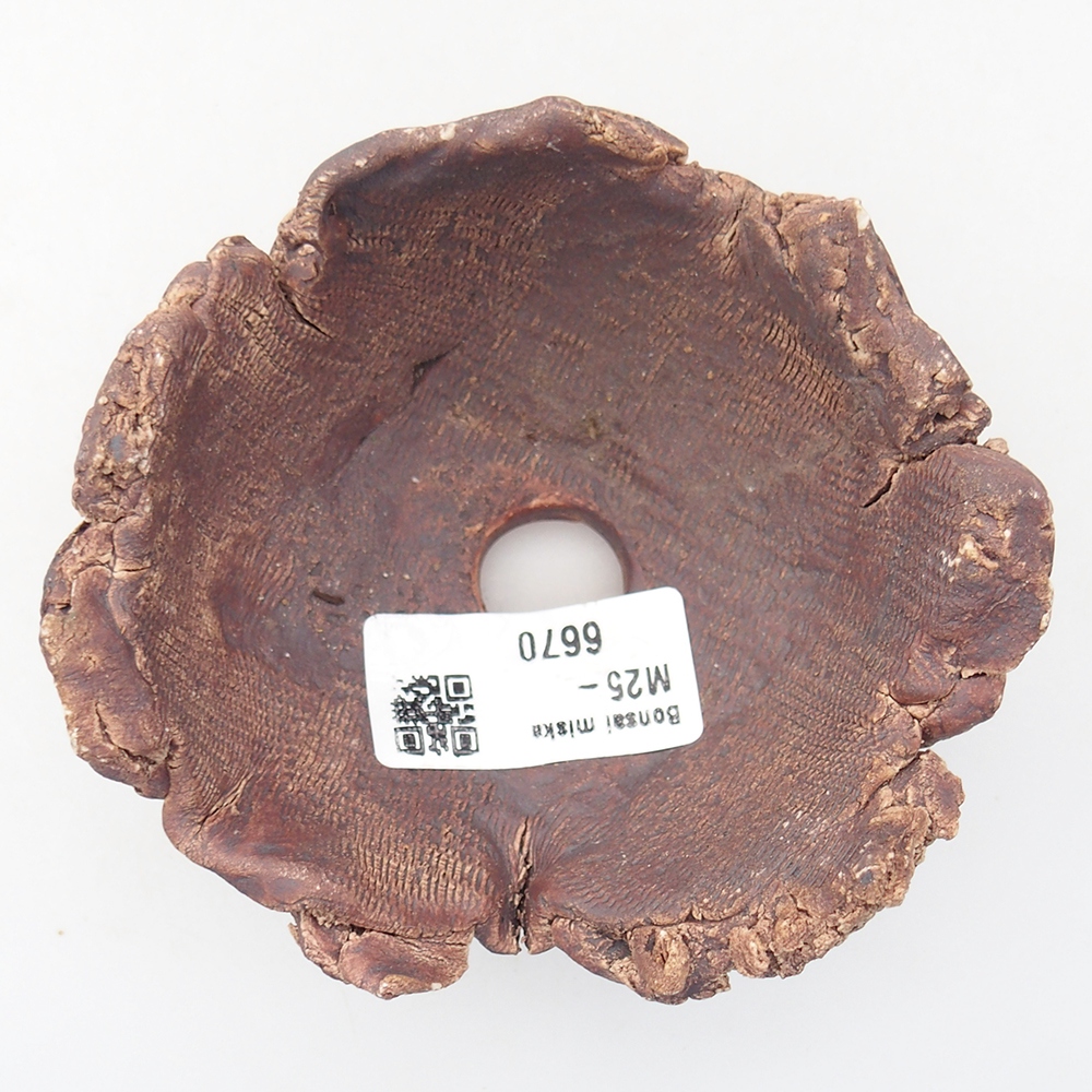 Muszla ceramiczna 10 x 9,5 x 6 cm, kolor brązowy