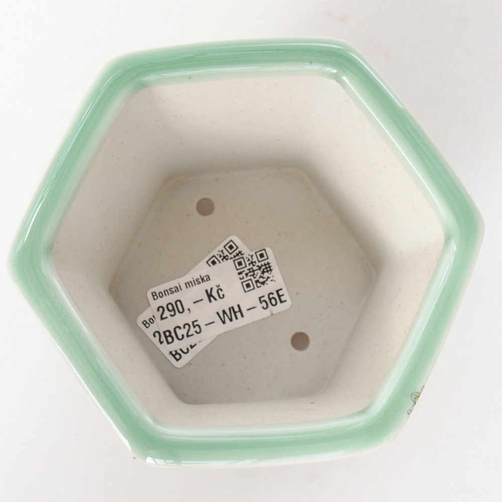 Ceramiczna miska do bonsai 10,5 x 9,5 x 8,5 cm, zielona