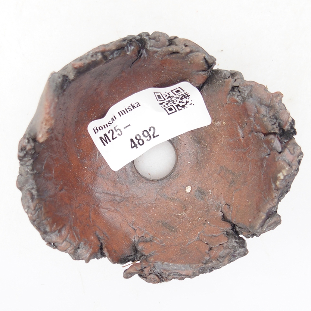 Muszla ceramiczna 7 x 8 x 5,5 cm, kolor brązowy