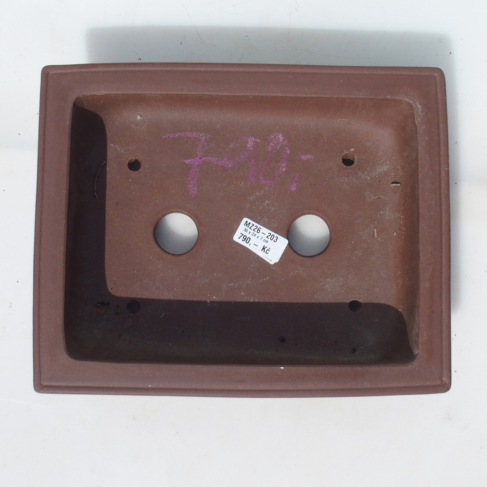 Misa bonsai 30 x 24 x 7 cm brzoza brązowa