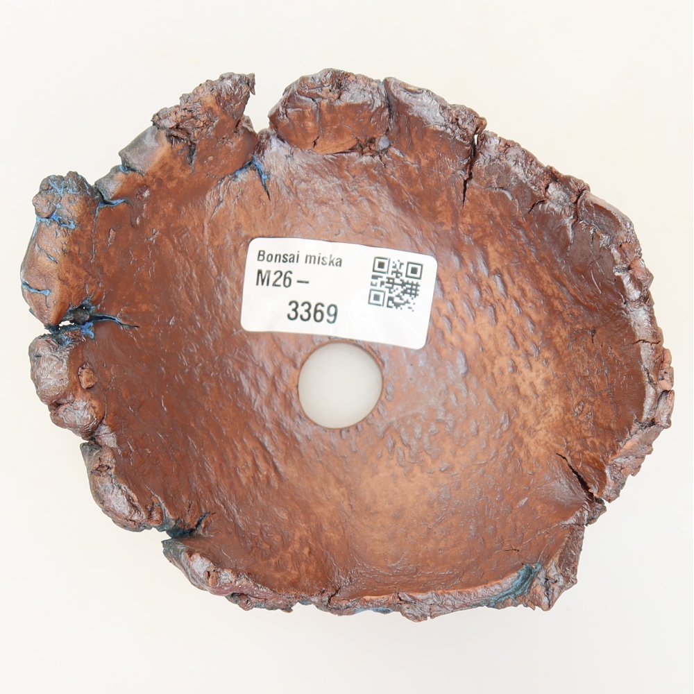 Ceramiczna skorupka 11,5 x 10 x 5,5 cm, kolor niebieski