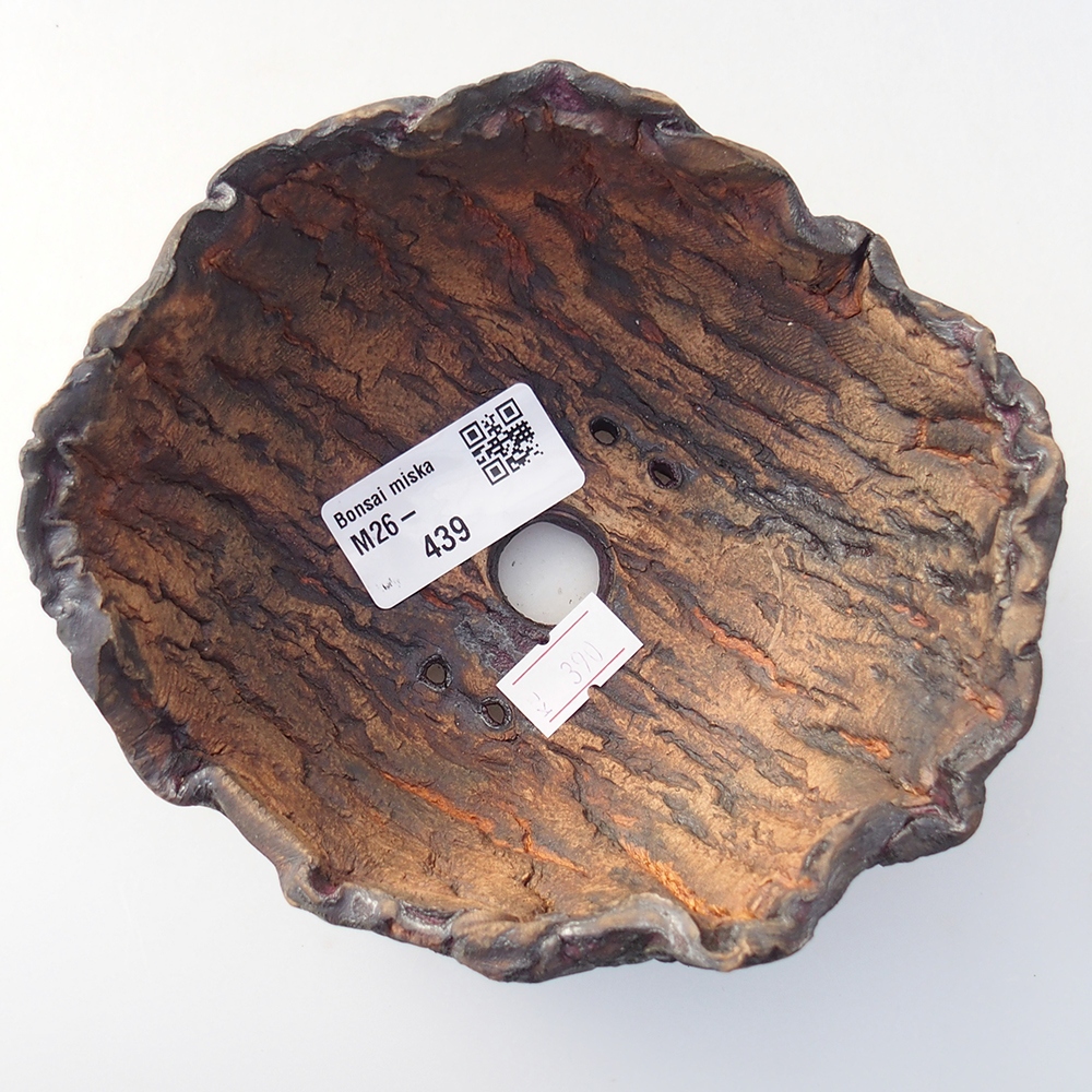 Ceramiczna muszla 13,5 x 12,5 x 7,5 cm, kolor brązowy