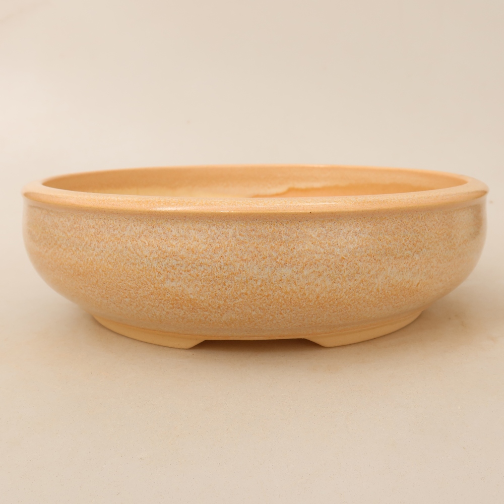 Ceramiczna miska do bonsai 22,5 x 22,5 x 6,5 cm, kolor beżowy