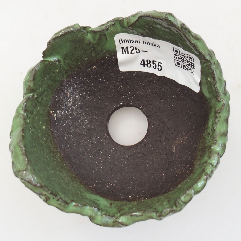 Muszla ceramiczna 7 x 7 x 5 cm, kolor zielony