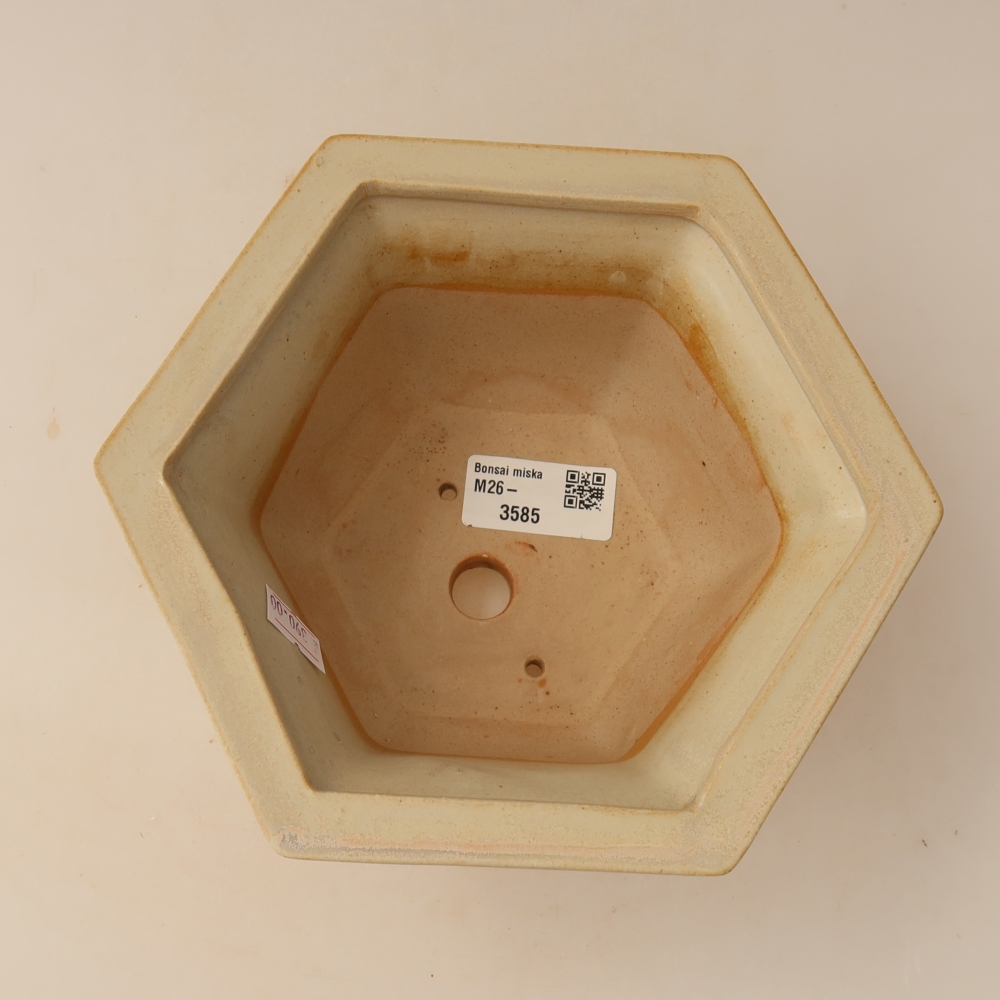 Ceramiczna miska do bonsai 18,5 x 16,5 x 9 cm, kolor beżowy