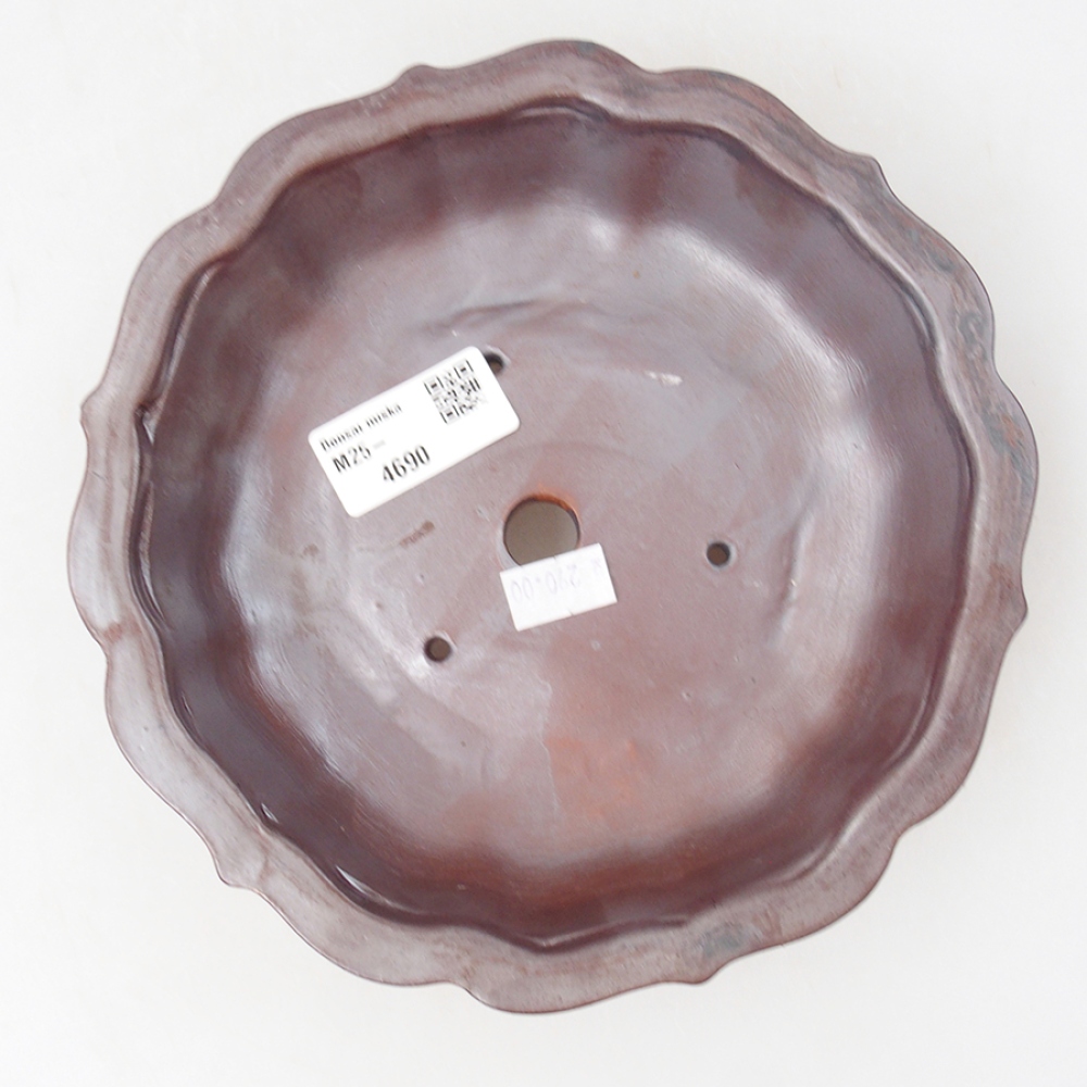 Ceramiczna miska bonsai 18 x 18 x 5 cm, kolor brązowy