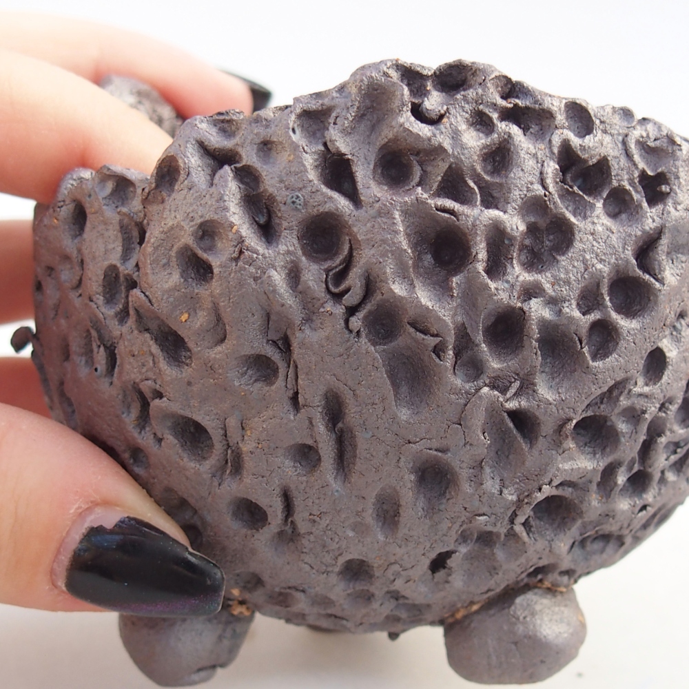 Ceramiczna muszla 8,5 x 8,5 x 7,5 cm, kolor metaliczny