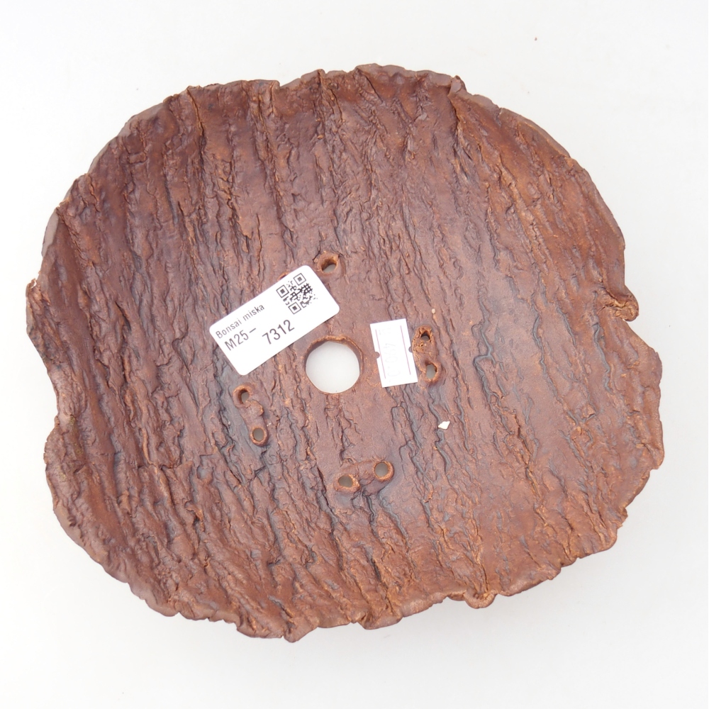 Ceramiczna muszla 19 x 18 x 5,5 cm, kolor brązowy