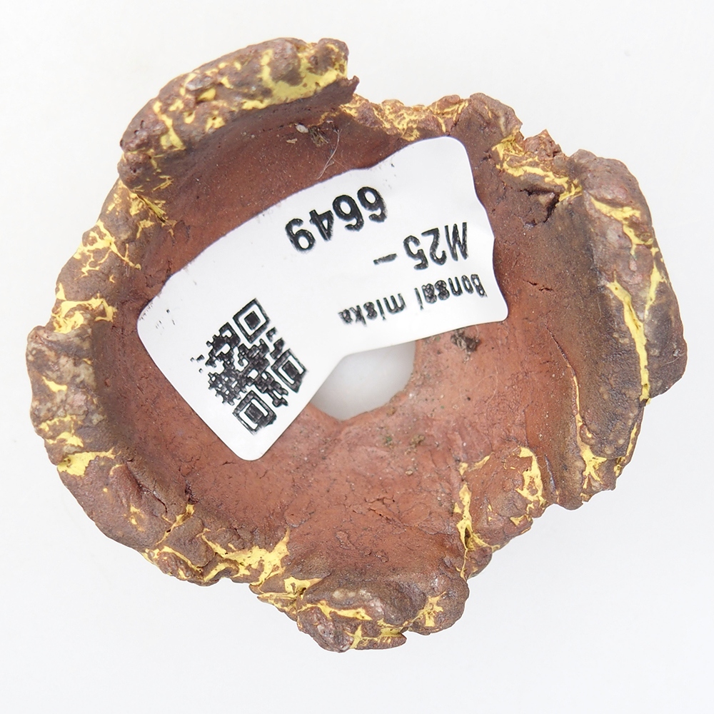 Muszla ceramiczna 5,5 x 5 x 4 cm, kolor żółty